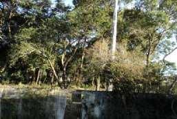 Terreno  venda  em Atibaia/SP - Retiro das Fontes REF:T2166