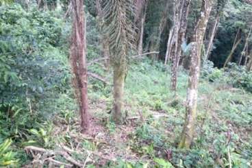 Land em Mairipor/SP   REF: T1453