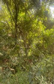 chacara-a-venda-em-atibaia-sp-jardim-estancia-brasil-ref-ch2350 - Foto:41