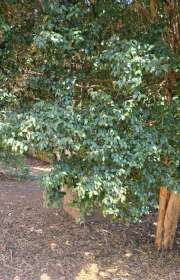 casa-a-venda-em-atibaia-sp-centro-ref-c2351 - Foto:39