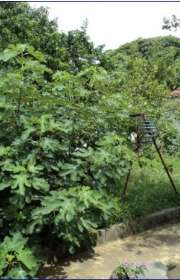 house-for-sale-in-atibaia-sp-gardenia-ref-c904 - Foto:14