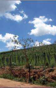 sitio-en-venta-en-atibaia-sp-ref-s1256 - Foto:14