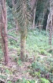 land-for-sale-in-mairipora-sp-ref-t1453 - Foto:1