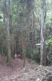 land-for-sale-in-mairipora-sp-ref-t1453 - Foto:9