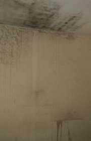 house-for-sale-in-atibaia-sp-centro-ref-c1686 - Foto:2