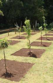 farmstead-for-sale-in-atibaia-sp-bairro-cachoeira-ref-ch2083 - Foto:19